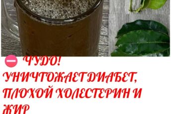 Четыре листа, которые помогают при диабете, раке, жировой дистрофии печени, плохом кровообращении и высоком кровяном давлении – без необходимости приема лекарств!