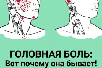 Дефицит этих продуктов провоцирует головные боли.