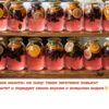 Очень вкусный тонизирующий компот «Розовое мохито» на зиму: такая заготовка повысит иммунитет