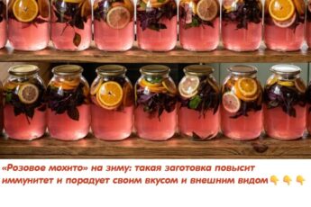 Очень вкусный тонизирующий компот «Розовое мохито» на зиму: такая заготовка повысит иммунитет