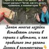 Почему многие хозяйки втыкают спички в цветочные горшки и как делать это правильно