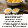 Сварите вкрутую 7 куриных яиц🥚🥚🥚 и отделите желтки. Затем высушите, только чтобы не....