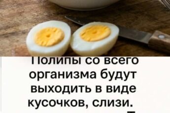 Сварите вкрутую 7 куриных яиц🥚🥚🥚 и отделите желтки. Затем высушите, только чтобы не....