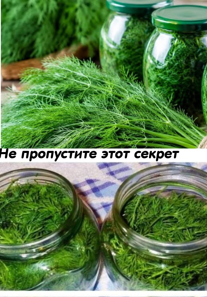 Уникальный способ хранения укропа без сушки и заморозки! Проверено лично - больше 10 лет держу креп именно так 😍 Вкус, аромат - как только с грядки!