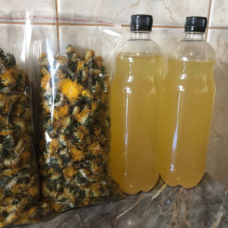 Весной готовлю этот квас из одуванчиков в огромных количествах — и всё равно не хватает! Весной готовлю этот квас из одуванчиков в огромных количествах — и всё равно не хватает!