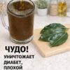 Четыре листа, которые помогают при диабете, раке, жировой дистрофии печени, плохом кровообращении и высоком кровяном давлении – без необходимости приема лекарств!