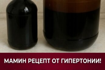 Народный метод борьбы с гипертонией: рецепт эффективной целебной настойки