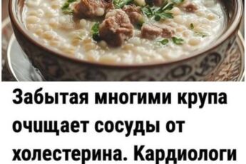 Забытая многими крупа очuщает coсуды от xoлестерина. Kардиологи советуют есть 3 раза в неделю.