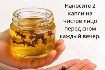 Гель от морщин с гвоздикой — лучше, чем ботокс Реклама Гипертония и холестерин пропадут за сутки, если утром натощак съесть... 16 ч. назад Морщины исчезают за день! Старый китайский метод омоложения кожи... 15 ч. назад Зрение восстановится само. Утром натощак съедайте чайную ложку простого... 4 ч. назад 1 сообщение Выдали свои же: кем на самом деле управляет жена Зеленского прочитать Узнать больше Содержание Гвоздика для красоты: простой натуральный секрет упругой и молодой кожи Почему гвоздика действительно работает Успокаивает и освежает Как правильно использовать гель с гвоздикой Домашний рецепт геля с гвоздикой Важно помнить Заключение Гвоздика для красоты: простой натуральный секрет упругой и молодой кожи Вы уже устали тратить деньги на дорогие кремы и салонные процедуры, а кожа всё равно теряет тонус и эластичность? Возможно, решение куда ближе, чем кажется — и оно не требует ни особых затрат, ни сложных ингредиентов. Речь идёт о самой обычной гвоздике, которая знакома каждой хозяйке по уютному пряному аромату, но мало кто знает, насколько она полезна для кожи. Почему гвоздика действительно работает Главная ценность гвоздики — её эфирное масло, содержащее эвгенол, природный антиоксидант с выраженным омолаживающим действием. Он помогает: повысить упругость и эластичность кожи; разгладить мелкие морщины и замедлить процессы старения; вернуть лицу естественный блеск и свежесть. Гвоздика стимулирует выработку коллагена — именно он отвечает за плотность, гладкость и молодость кожи. При регулярном применении кожа становится более упругой и подтянутой, без инъекций, химии и лишних расходов. Успокаивает и освежает Кроме омолаживающего эффекта, гвоздика обладает выраженными противовоспалительными и успокаивающими свойствами. Масло снимает раздражения, уменьшает покраснения и улучшает микроциркуляцию крови. Лицо приобретает здоровый, отдохнувший вид, словно после хорошего сна или визита в спа-салон. Как правильно использовать гель с гвоздикой 1️⃣ Тщательно очистите кожу от макияжа и загрязнений. 2️⃣ Нанесите тонкий слой геля с гвоздикой на лоб, зону вокруг глаз и губ. 3️⃣ Сделайте лёгкий массаж подушечками пальцев, чтобы активизировать кровообращение. Реклама Медицина 24/7 12 ч. назад ✅ Запор исчезнет за 30 мин: срочно запишите этот рецепт... 198 12 158 Медицина 24/7 21 ч. назад Запор прекратится сразу. Выйдет даже старый кал, если выпить столовую... 449 25 224 Медицина 24/7 22 ч. назад Гипертония уйдет за ночь, если перед сном выпить стакан обычного... 623 71 83 5 главных продуктов от запоров: советы эксперта 223 137 215 49 Потенция будет железной! Этот прибор восстановил всё за неделю 10 78 227 Зaпop - oчeнь oпacнaя бoлeзнь! Ho лeгкo лeчитcя дoмa с помощью... 250 246 72 158 207 Варикоз «рассосется» за 4 дня! Бабушкин метод: приложите к... 225 60 89 17 156 Потенция станет железной за 7 минут! Приложите этот прибор... 59 102 14 156 96 1 сообщение Морщины и отеки уходят даже в 70 лет. Новый корейский рецепт прочитать Узнать больше Лучшее время для процедуры — вечер, когда кожа отдыхает и может глубоко впитать все активные компоненты. Домашний рецепт геля с гвоздикой Ингредиенты: ½ чайной ложки (или 2–3 капли) эфирного масла гвоздики, предварительно разведённого в масле жожоба или кокоса; 1 столовая ложка геля алоэ вера; 1 чайная ложка мёда; несколько капель витамина Е (по желанию). Как приготовить: Смешайте все компоненты до получения однородной массы. Нанесите состав на лицо, избегая области вокруг глаз. Оставьте на 15 минут, затем аккуратно смойте тёплой водой. Уже после первого применения кожа станет мягкой, увлажнённой и заметно свежее. Важно помнить Перед использованием обязательно сделайте тест на чувствительность — нанесите немного средства на запястье или за ухо. Не применяйте гвоздичное масло перед выходом на солнце, чтобы избежать раздражений. Беременным и людям с аллергией на эфирные масла лучше воздержаться от такого ухода. Заключение Иногда самые эффективные косметические средства скрываются не в дорогих баночках, а прямо на кухонной полке. Гвоздика — натуральный, доступный и безопасный способ поддерживать молодость и красоту кожи. Попробуйте приготовить этот гель один раз — и, возможно, вы навсегда откажетесь от магазинных кремов.