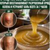 Изношенный хрящ коленного сустава после 50 превращает подъем по лестнице в наказание.