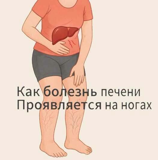 «Ваши ноги кричат о проблемах с печенью! 7 тревожных сигналов, которые нельзя игнорировать» «Ваши ноги кричат о проблемах с печенью! 7 тревожных сигналов, которые нельзя игнорировать»